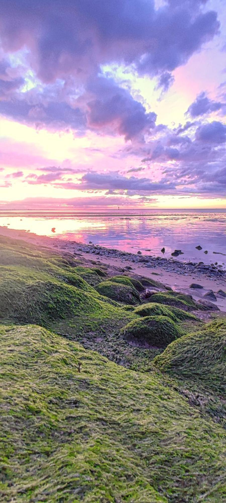 Nordseezimmer Koi أوترندورف المظهر الخارجي الصورة